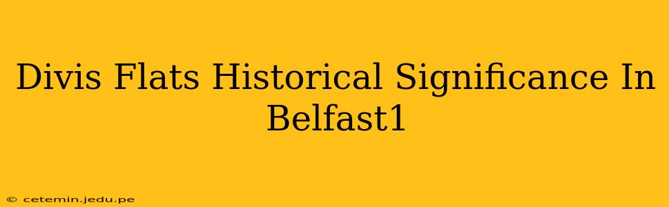Divis Flats Historical Significance In Belfast1