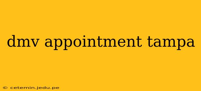 dmv appointment tampa