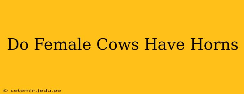 Do Female Cows Have Horns