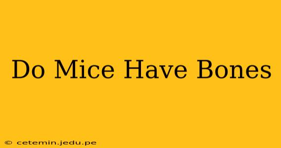 Do Mice Have Bones