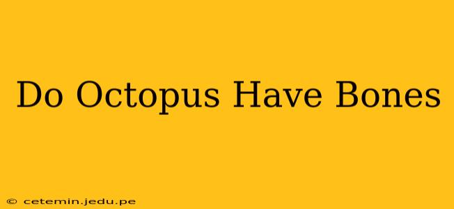 Do Octopus Have Bones