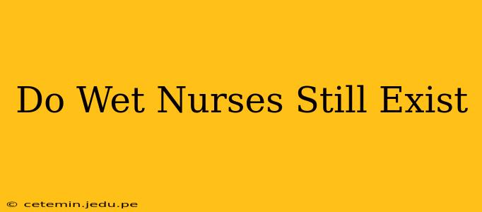 Do Wet Nurses Still Exist