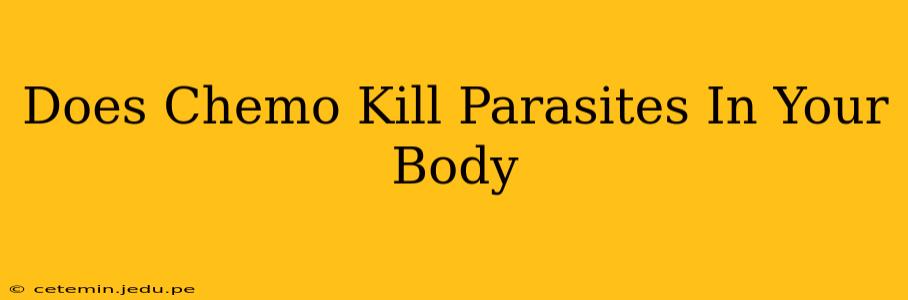 Does Chemo Kill Parasites In Your Body