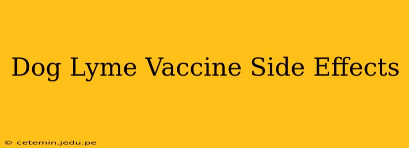 Dog Lyme Vaccine Side Effects