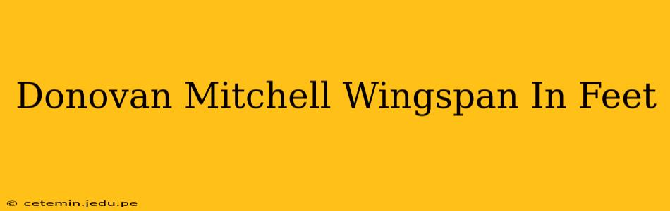 Donovan Mitchell Wingspan In Feet