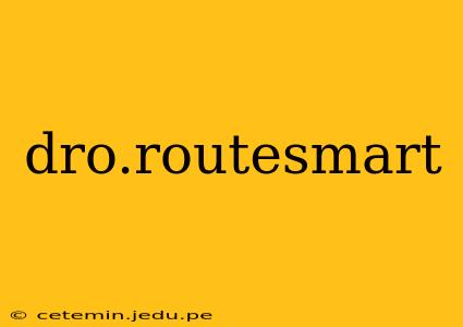 dro.routesmart