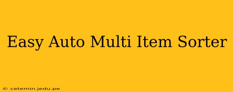 Easy Auto Multi Item Sorter