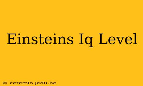 Einsteins Iq Level