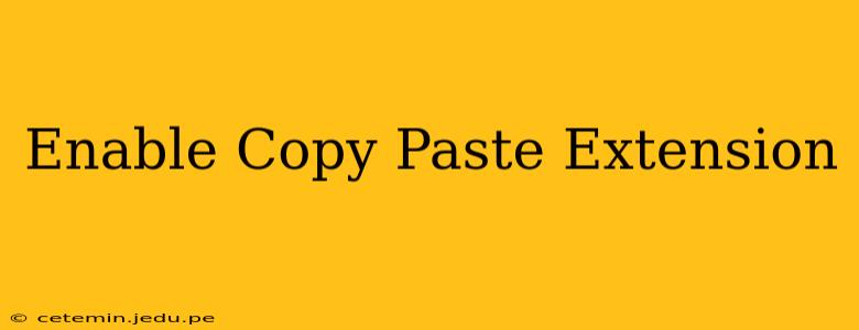 Enable Copy Paste Extension