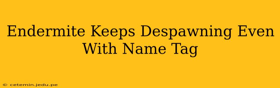 Endermite Keeps Despawning Even With Name Tag