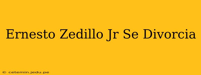 Ernesto Zedillo Jr Se Divorcia