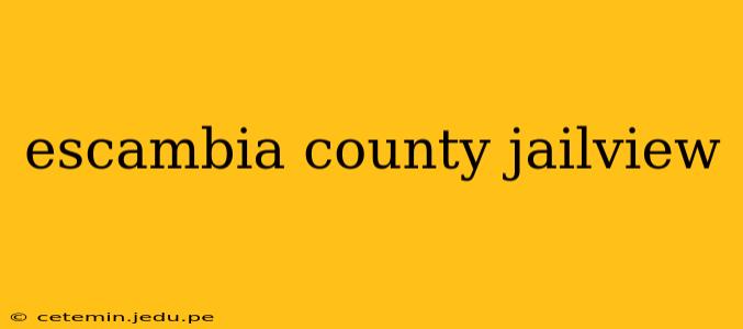 escambia county jailview