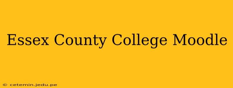 Essex County College Moodle