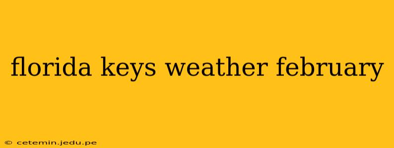 florida keys weather february