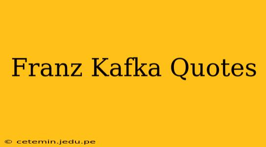 Franz Kafka Quotes