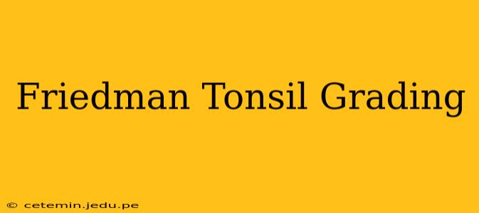 Friedman Tonsil Grading