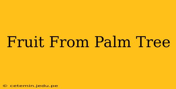 Fruit From Palm Tree