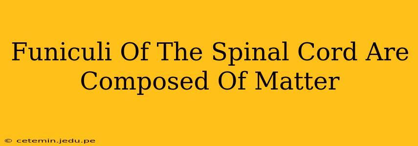 Funiculi Of The Spinal Cord Are Composed Of Matter