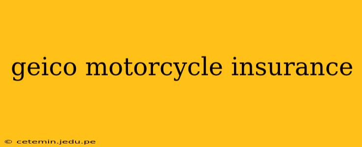 geico motorcycle insurance