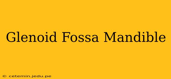 Glenoid Fossa Mandible