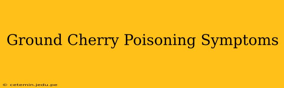 Ground Cherry Poisoning Symptoms