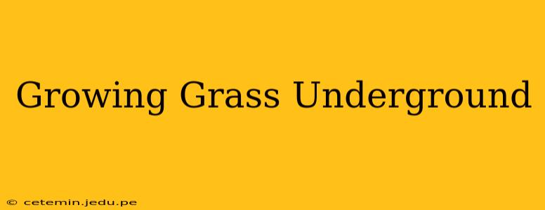 Growing Grass Underground