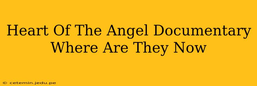 Heart Of The Angel Documentary Where Are They Now