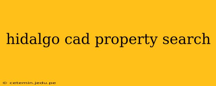 hidalgo cad property search