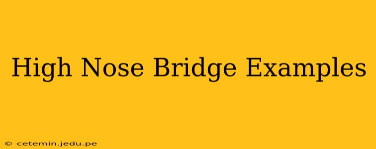 High Nose Bridge Examples