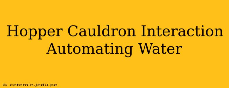 Hopper Cauldron Interaction Automating Water