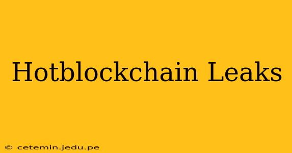 Hotblockchain Leaks