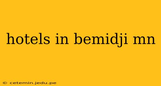 hotels in bemidji mn