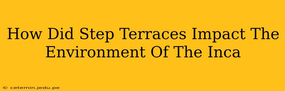 How Did Step Terraces Impact The Environment Of The Inca