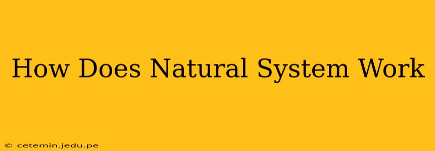 How Does Natural System Work