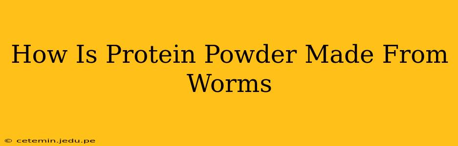 How Is Protein Powder Made From Worms
