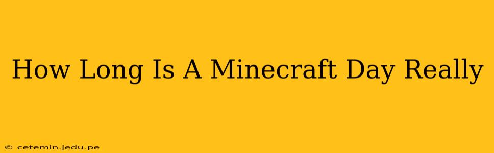 How Long Is A Minecraft Day Really
