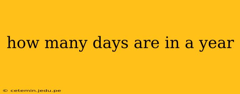 how many days are in a year