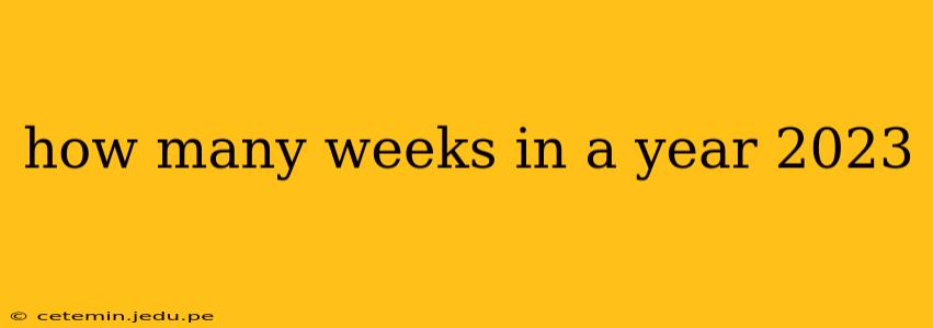 how many weeks in a year 2023