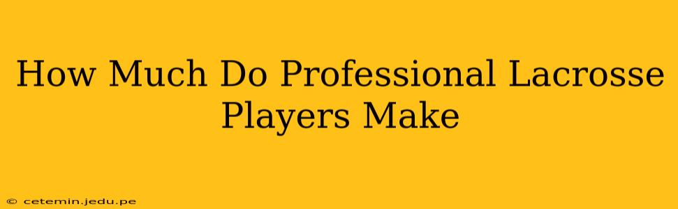 How Much Do Professional Lacrosse Players Make