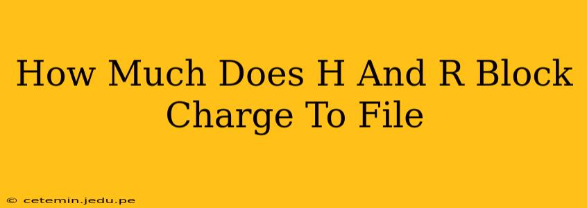 How Much Does H And R Block Charge To File