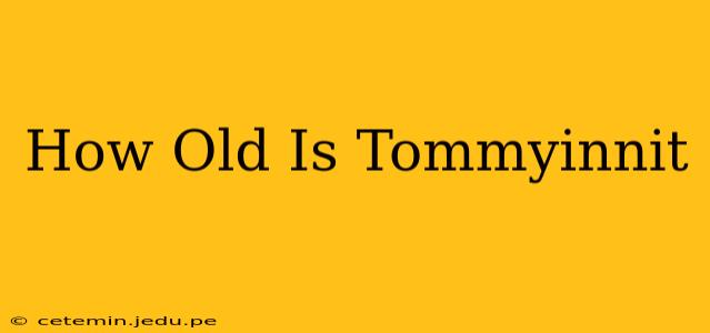 How Old Is Tommyinnit
