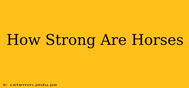 How Strong Are Horses