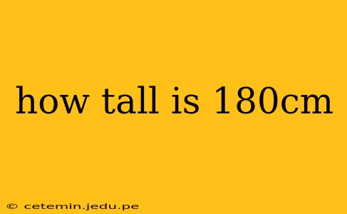 how tall is 180cm