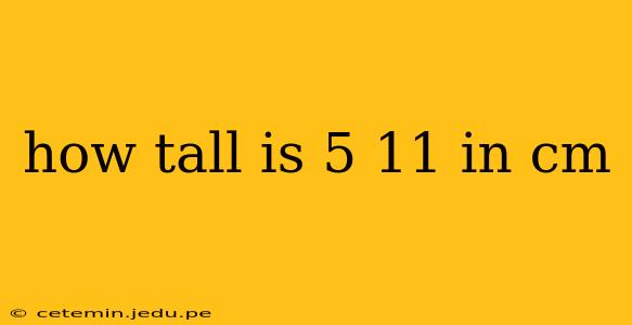 how tall is 5 11 in cm