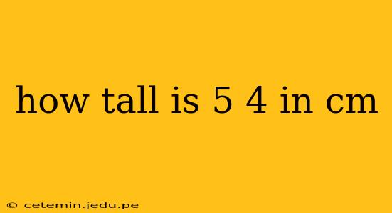 how tall is 5 4 in cm