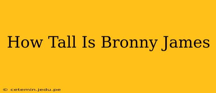 How Tall Is Bronny James