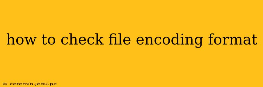 how to check file encoding format