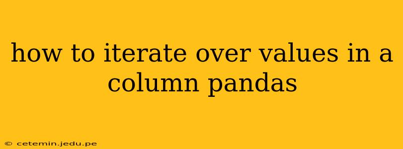 how to iterate over values in a column pandas