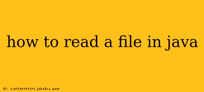 how to read a file in java