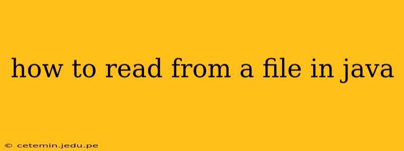 how to read from a file in java